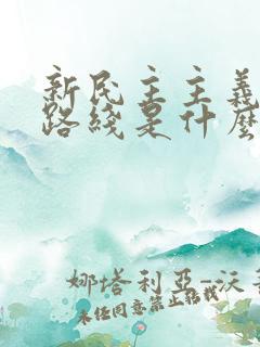 新民主主义革命路线是什么