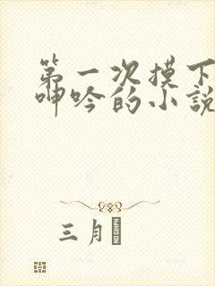 第一次摸下面她呻吟的小说