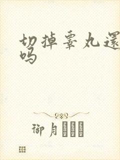 切掉睾丸还能硬吗