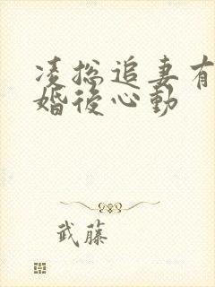 凌总追妻有点甜婚后心动