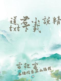 道君小说精校版txt下载