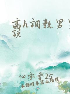 高h调教男男小说