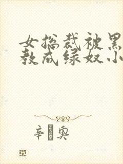 女总裁被黑人调教成绿奴小说