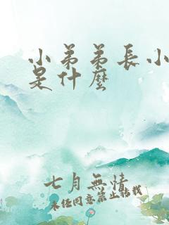 小弟弟长小水泡是什么