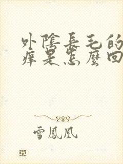 外阴长毛的地方痒是怎么回事