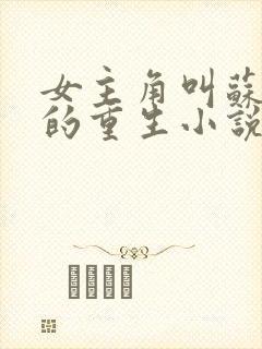 女主角叫苏软软的重生小说