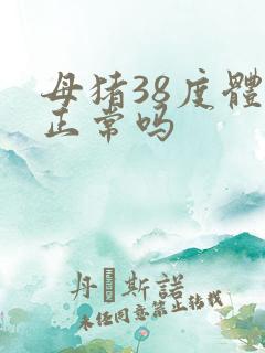 母猪38度体温正常吗