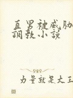 直男被威胁玩弄调教小说