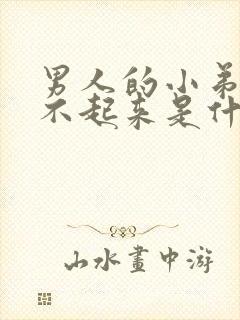 男人的小弟弟硬不起来是什么原因/