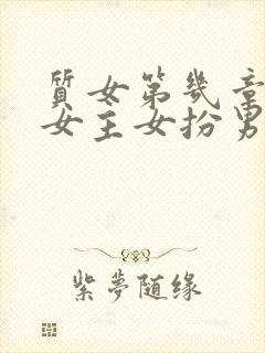 质女第几章发现女主女扮男装