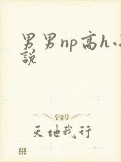 男男np高h小说
