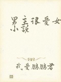 男主很爱女主的小说