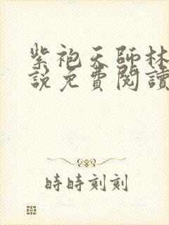 紫袍天师林天小说免费阅读全文