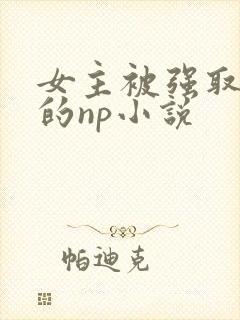 女主被强取豪夺的np小说