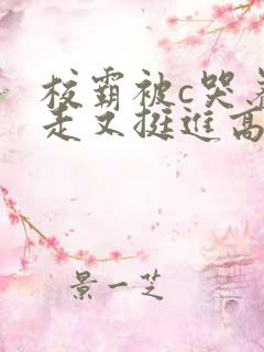 校霸被c哭着爬走又挺进高h双男主