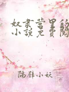 奴隶营里的公主小说免费阅读全文