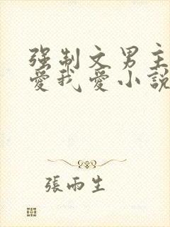 强制文男主你不爱我爱小说