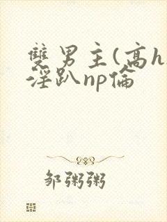 双男主(高h)淫趴np伦