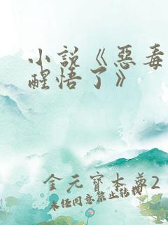 小说《恶毒女配醒悟了》