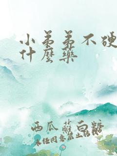 小弟弟不硬该吃什么药