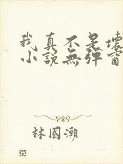 我真不是坏男人小说无弹窗最新章节