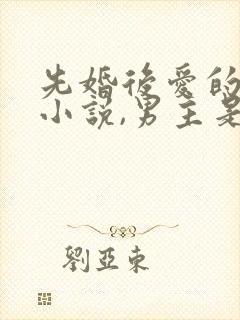 先婚后爱的军婚小说,男主是特种兵