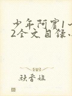 少年阿宾1～72全文目录小说