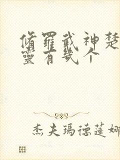 修罗武神楚枫界灵有几个