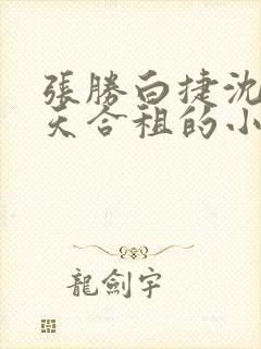 张胜白捷沈莹林天合租的小说