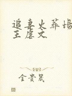 追妻火葬场双男主虐文