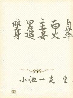 双男主白月光替身追妻火葬场