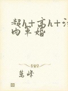 超h+高h+污肉军婚