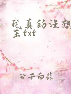 我真的没想抢男主txt
