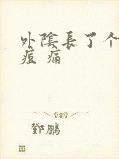 外阴长了个大痘痘 痛