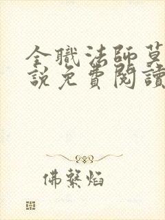 全职法师莫凡小说免费阅读