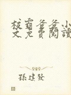 校霸爸爸小说全文免费阅读