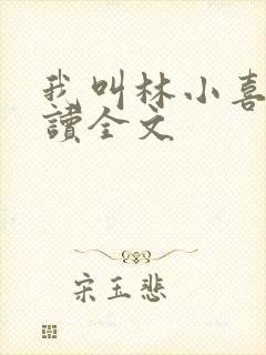 我叫林小喜全阅读全文