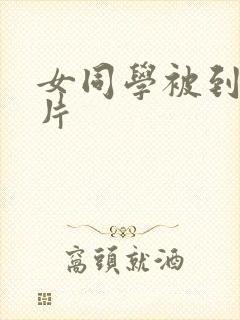 女同学被到爽流片