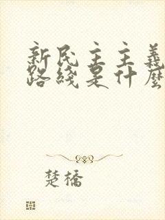 新民主主义革命路线是什么