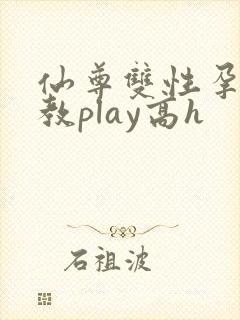 仙尊双性孕夫调教play高h