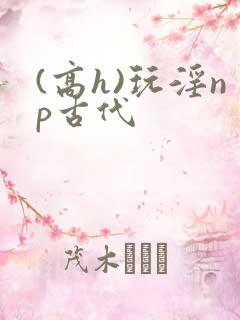 (高h)玩淫np古代