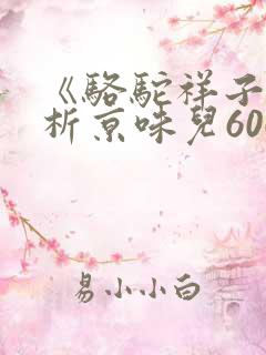 《骆驼祥子》品析京味儿600字