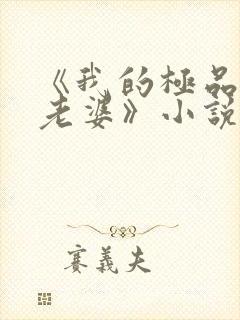 《我的极品美女老婆》小说