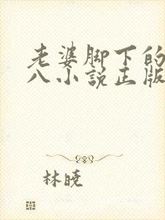 老婆脚下的禄王八小说正版阅读