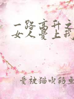 一路高升之领导女人爱上我小说