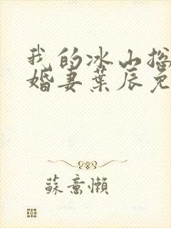 我的冰山总裁未婚妻叶辰免费阅读