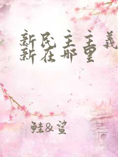 新民主主义革命新在哪里