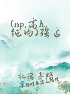 (np,高h,纯肉)强占