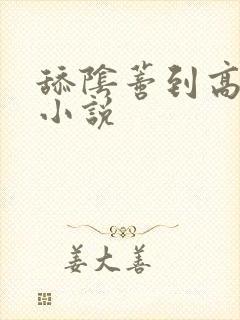 舔阴蒂到高潮的小说