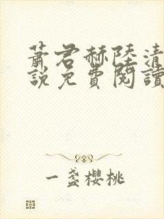 萧君赫陆清霜小说免费阅读最新章节